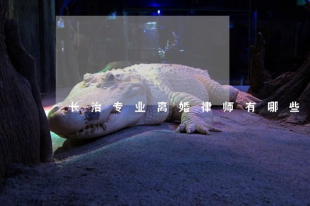长治专业离婚律师有哪些 长治专业离婚律师有哪些
