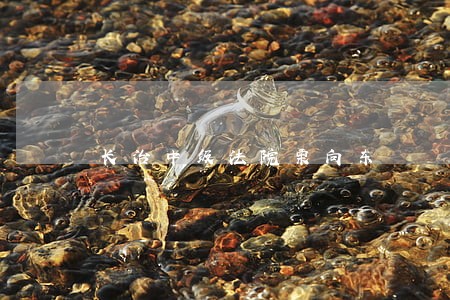 长治中级法院栗向东 长治中级法院栗向东