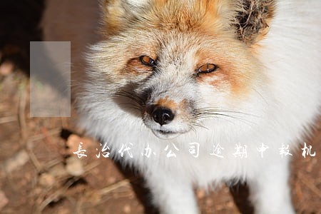 长治代办公司逾期申报机构哪家好