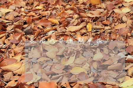 长治代办逾期申报