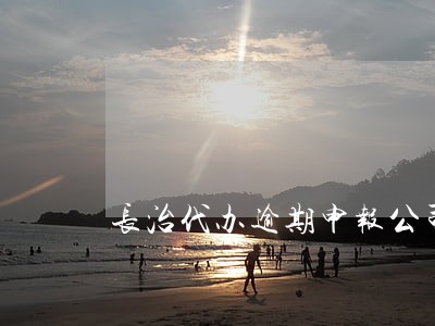 长治代办逾期申报公司