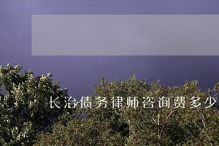 长治债务律师咨询费多少 长治债务律师咨询费多少