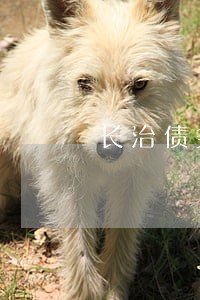 长治债务清偿律师价位 长治债务清偿律师价位