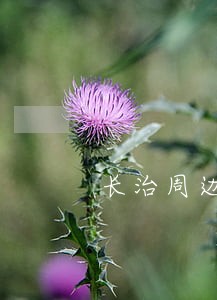 长治周边罪轻辩护律师网 长治周边罪轻辩护律师网