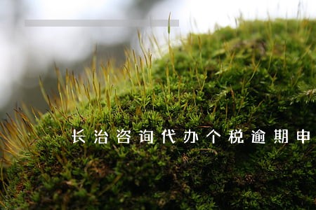 长治咨询代办个税逾期申报哪家好