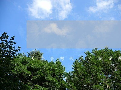 长治咨询代办个税逾期申报机构