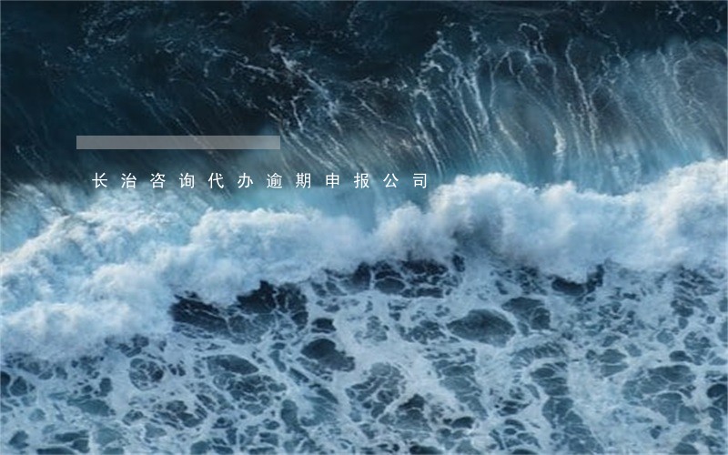 长治咨询代办逾期申报公司