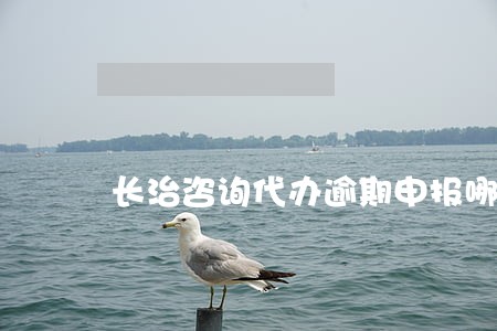 长治咨询代办逾期申报哪家好 长治咨询代办逾期申报哪家好