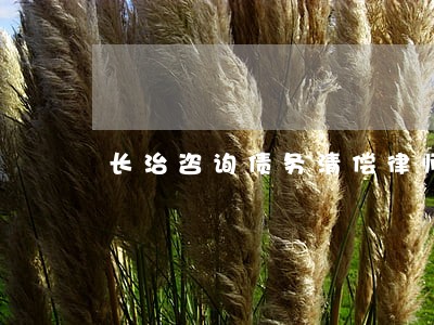 长治咨询债务清偿律师 长治咨询债务清偿律师