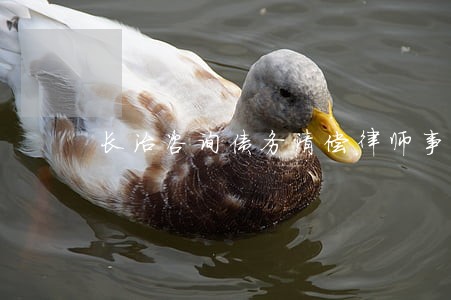 长治咨询债务清偿律师事务所