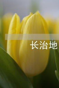 长治地区刑事会见律师诉讼费 长治地区刑事会见律师诉讼费