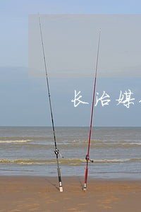 长治媒体债务债权案律师 长治媒体债务债权案律师