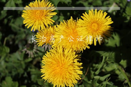 长治房产公证律师 长治房产公证律师