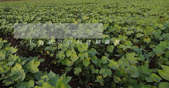 长治房产官司律师排名 长治房产官司律师排名