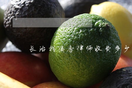 长治找债务律师收费多少 长治找债务律师收费多少