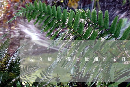 长治擅长债务律师谁家好 长治擅长债务律师谁家好