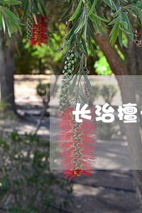长治擅长债务清偿律师哪家好 长治擅长债务清偿律师哪家好