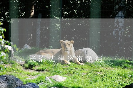长治法律咨询免费 长治法律咨询免费