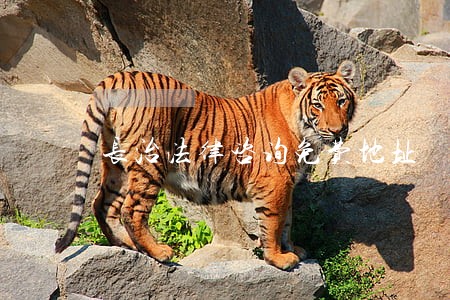 长治法律咨询免费地址 长治法律咨询免费地址