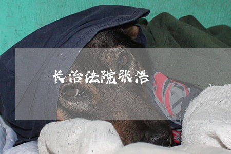 长治法院张浩 长治法院张浩
