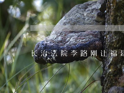 长治法院李路刚让福建人告了 长治法院李路刚让福建人告了
