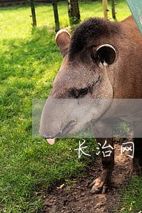长治网贷逾期暂时还不上怎么办 长治网贷逾期暂时还不上怎么办