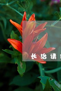 长治请债务清偿律师哪个好 长治请债务清偿律师哪个好
