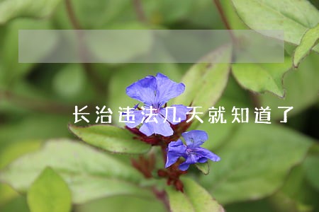 长治违法几天就知道了