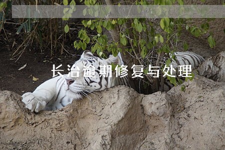 长治逾期修复与处理