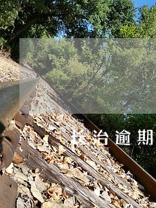 长治逾期申报流程