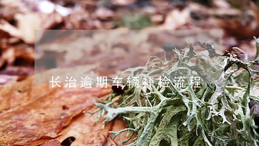 长治逾期车辆补检流程
