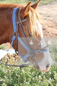 长治银行逾期还款 长治银行逾期还款