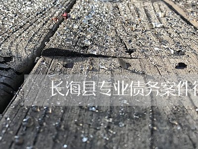 长海县专业债务案件律师 长海县专业债务案件律师