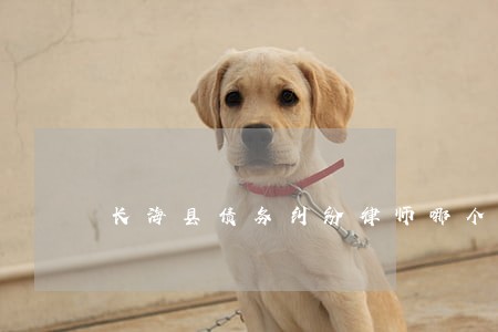 长海县债务纠纷律师哪个好 长海县债务纠纷律师哪个好