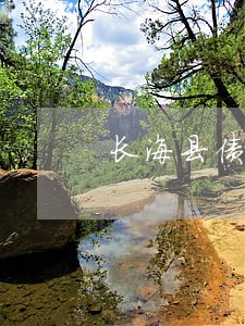 长海县债务纠纷律师推荐 长海县债务纠纷律师推荐
