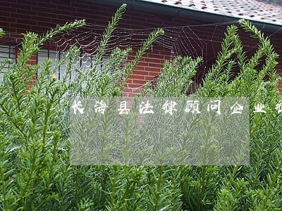 长海县法律顾问企业律师收费 长海县法律顾问企业律师收费