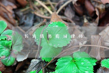 长清债务追讨律师 长清债务追讨律师