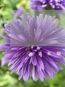 长清区取保候审在线律师 长清区取保候审在线律师