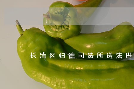 长清区归德司法所送法进企业 长清区归德司法所送法进企业