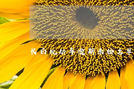 长白机动车逾期未检名单