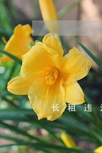 长租违法吗 长租违法吗