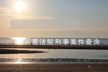 长葛法院刑事案件查询