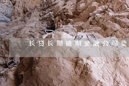 长贷长期逾期金融公司要取消分期