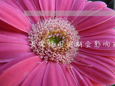长辈信用逾期会影响孩子吗 长辈信用逾期会影响孩子吗