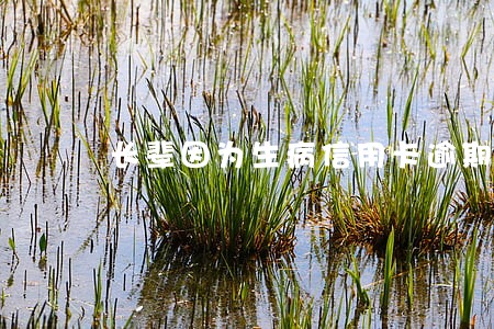 长辈因为生病信用卡逾期