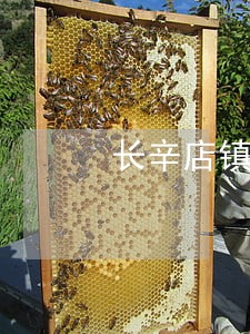 长辛店镇司法所组织法治文艺演出 长辛店镇司法所组织法治文艺演出