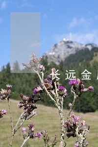 长远金属制品有限公司法人