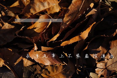 长途汽车上不装监控违法吗 长途汽车上不装监控违法吗