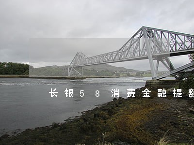 长银58消费金融提额有2次逾期 长银58消费金融提额有2次逾期