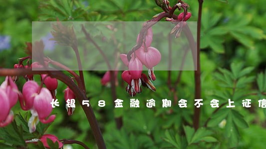 长银58金融逾期会不会上征信 长银58金融逾期会不会上征信